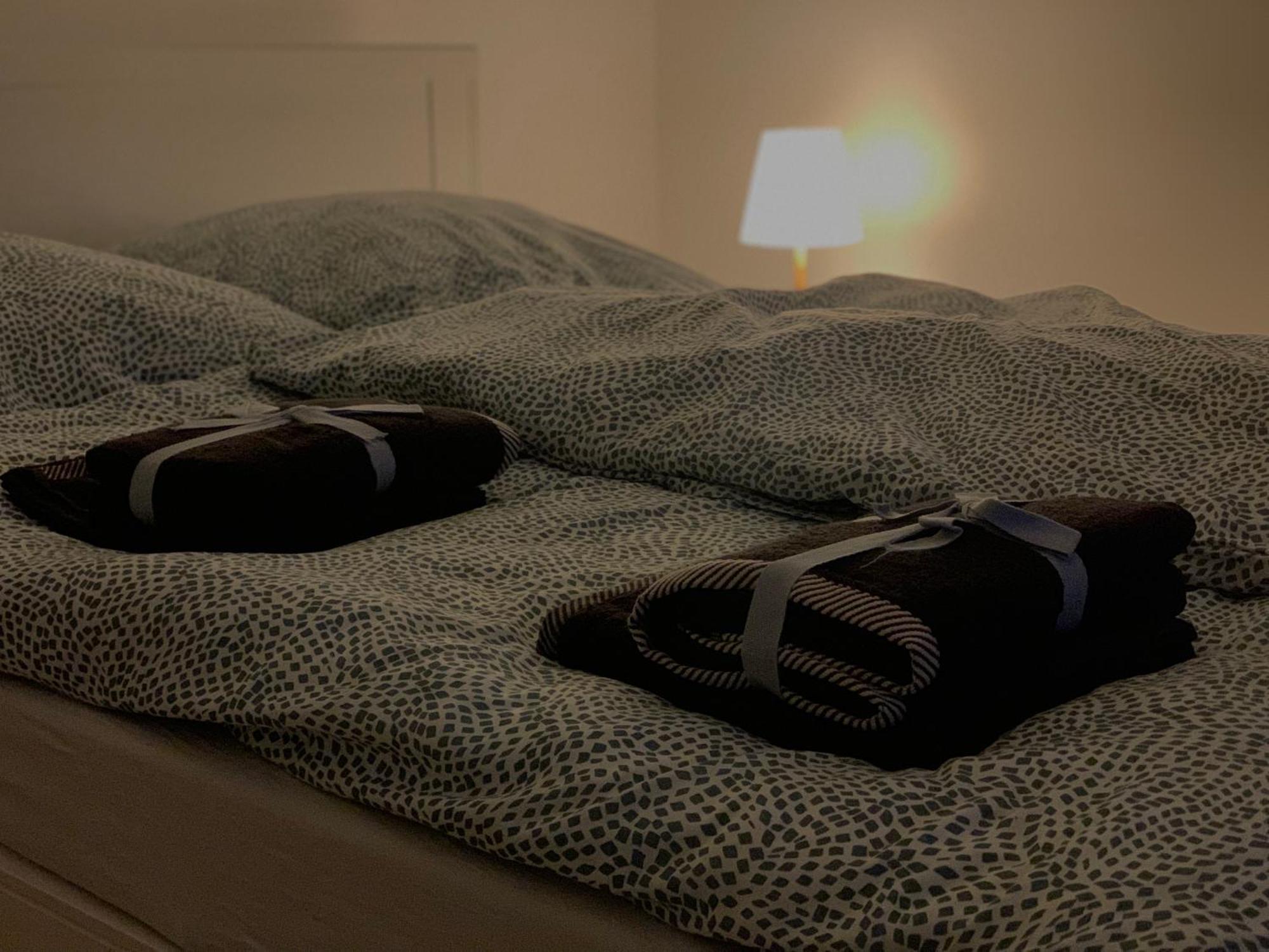 Gemuetliche Wohnung, Schnell In Koeln, Messe, Stadion & Phantasialand Apartment Erftstadt